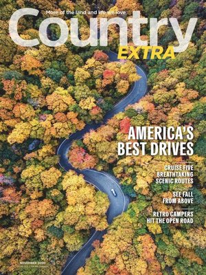cover image of Country Extra